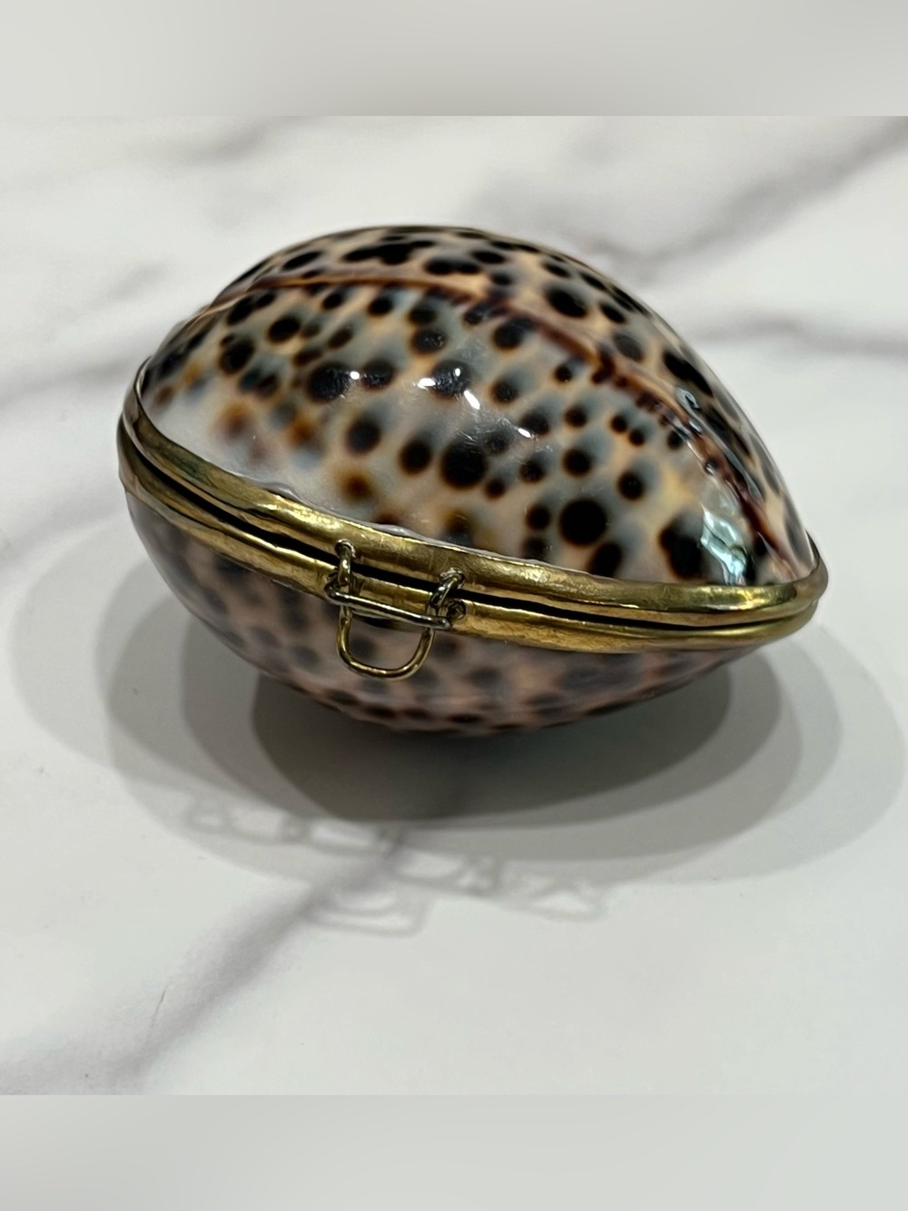 Vintage Trinket Pill Box Natural Tiger Cowrie Seashell Victorian Boho Style